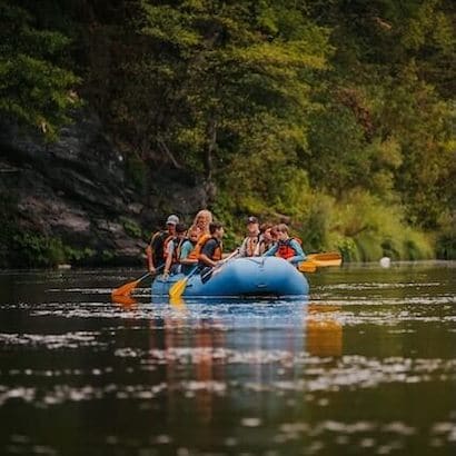 Boat Safaris