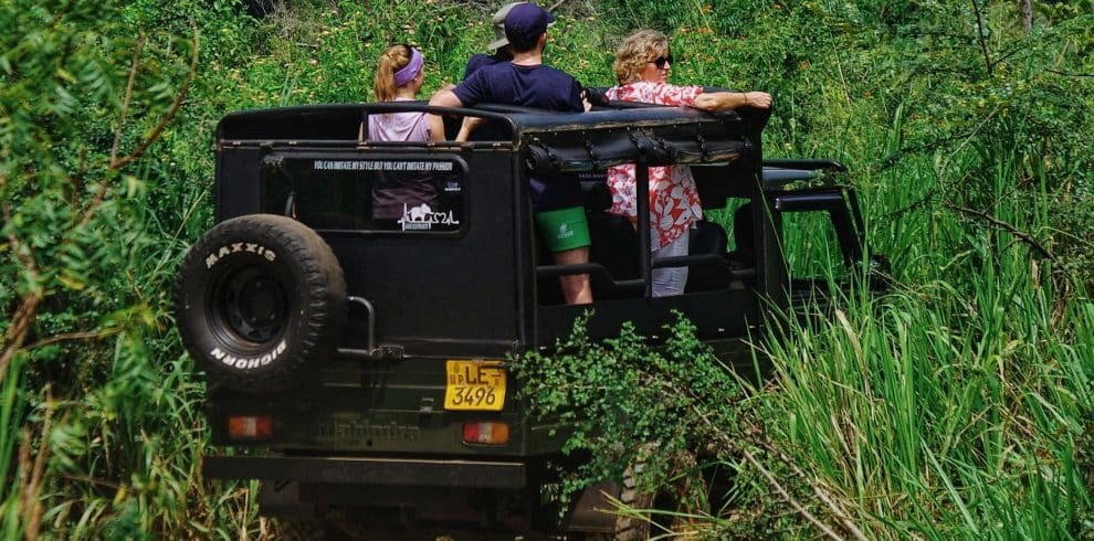 7-Day Signature Private 4x4 Safari Journey