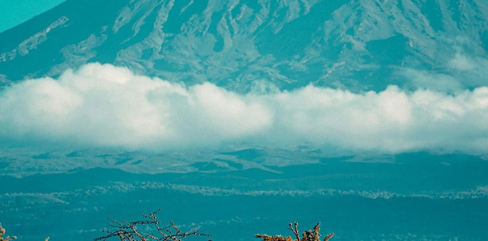 6-Day Amboseli/Naivasha/Nakuru & Masai Mara Game Safari